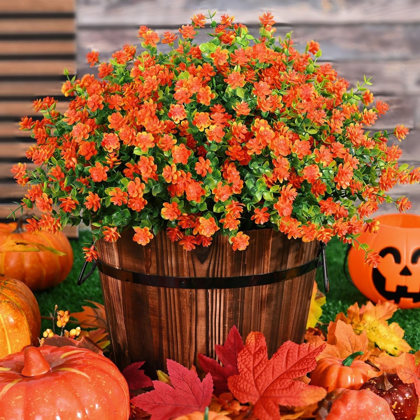🏆 50K+ SOLD! 💐 UV-Resistant Sunset Mums – Perfect for Fall 🍂