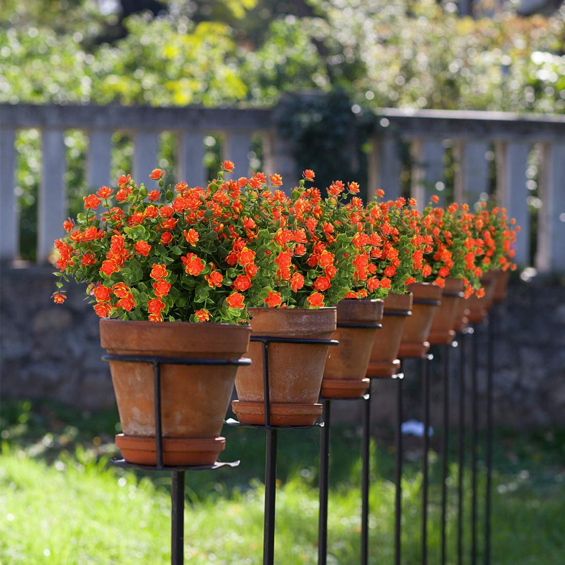🏆 50K+ SOLD! 💐 UV-Resistant Sunset Mums – Perfect for Fall 🍂