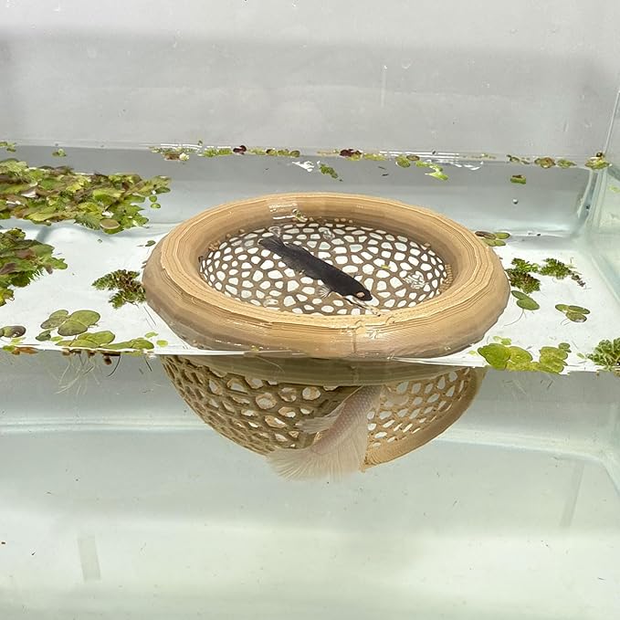 🐠 Floating Betta Fish Cave – Hideout & Feeding Station