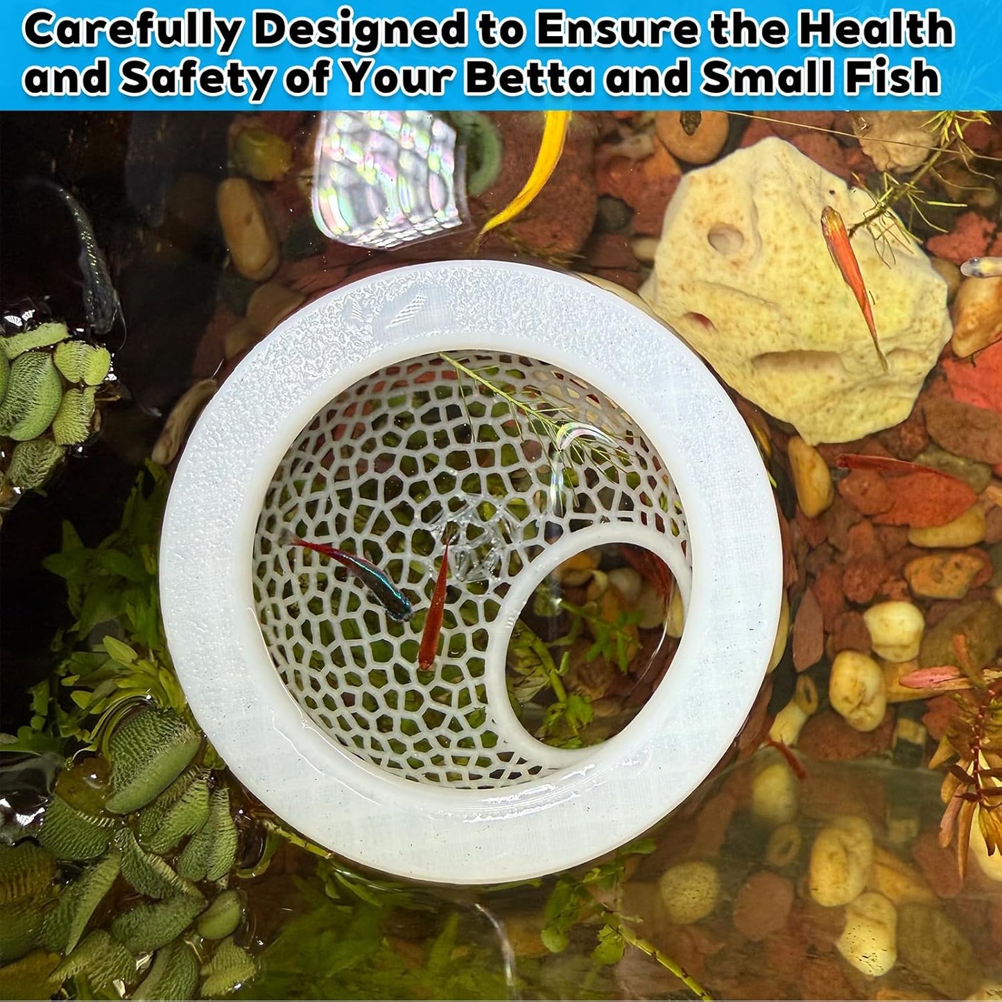 🐠 Floating Betta Fish Cave – Hideout & Feeding Station
