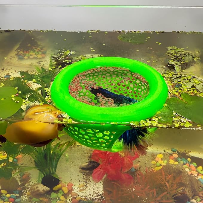 🐠 Floating Betta Fish Cave – Hideout & Feeding Station