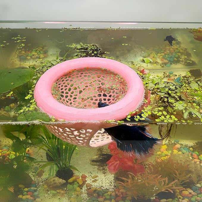 🐠 Floating Betta Fish Cave – Hideout & Feeding Station