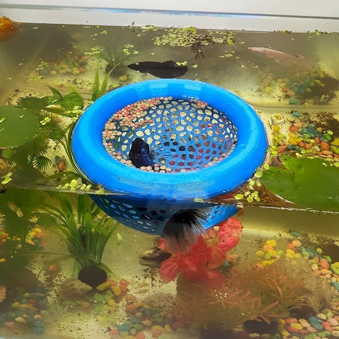 🐠 Floating Betta Fish Cave – Hideout & Feeding Station