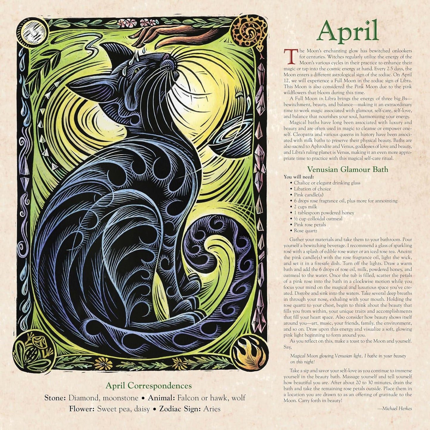 ⏰6-Hour Flash Deal✨2026 Witches’ Calendar🔮