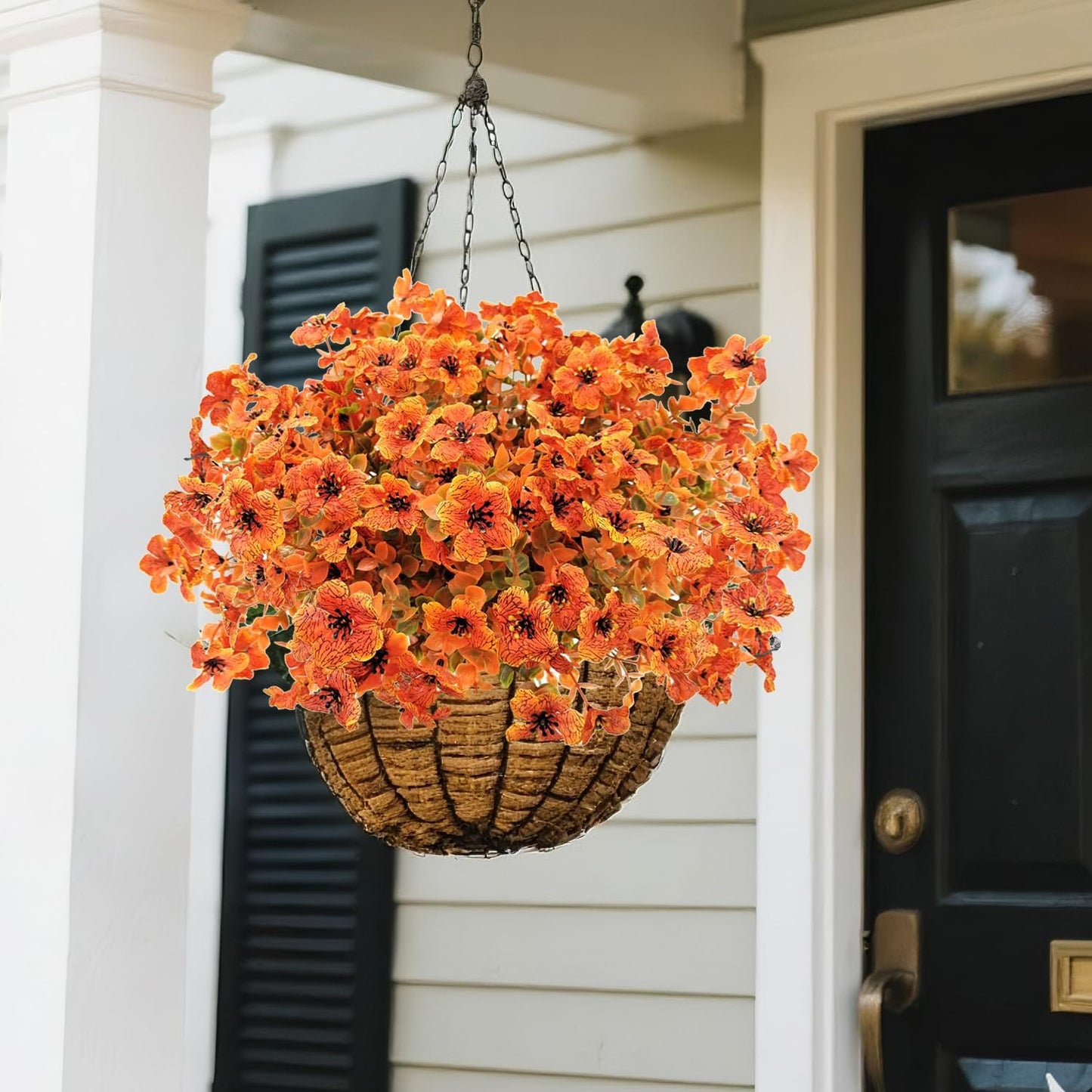 🏆 50K+ SOLD! 💐 UV-Resistant Sunset Mums – Perfect for Fall 🍂