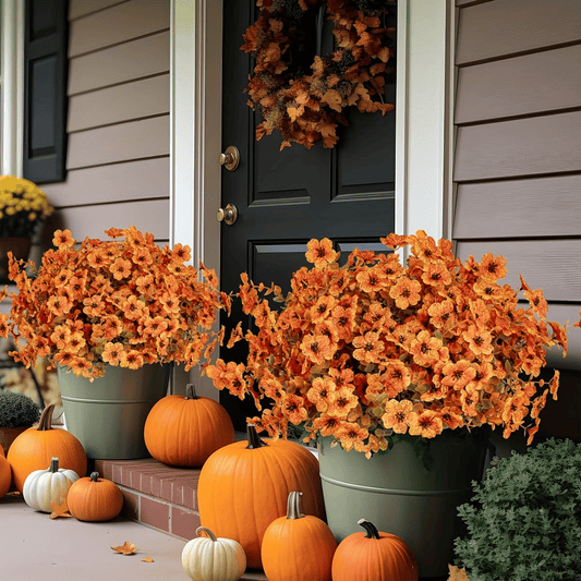 🏆 50K+ SOLD! 💐 UV-Resistant Sunset Mums – Perfect for Fall 🍂