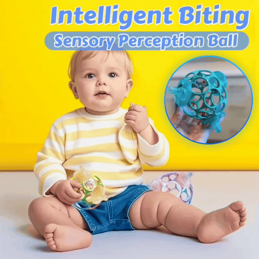 🔥Intelligent Biting Sensory Perception Ball